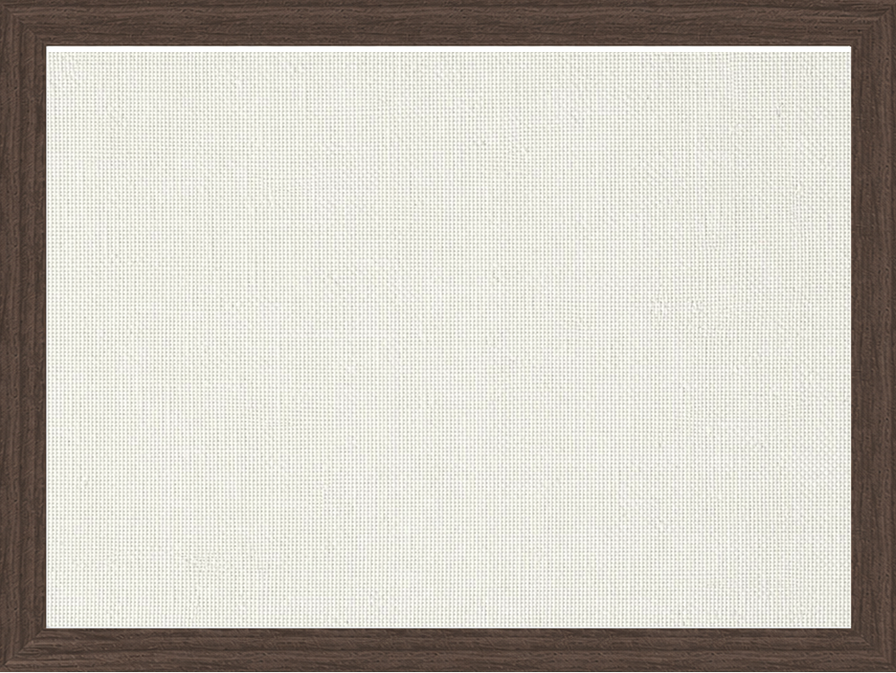 Framed Canvas Print