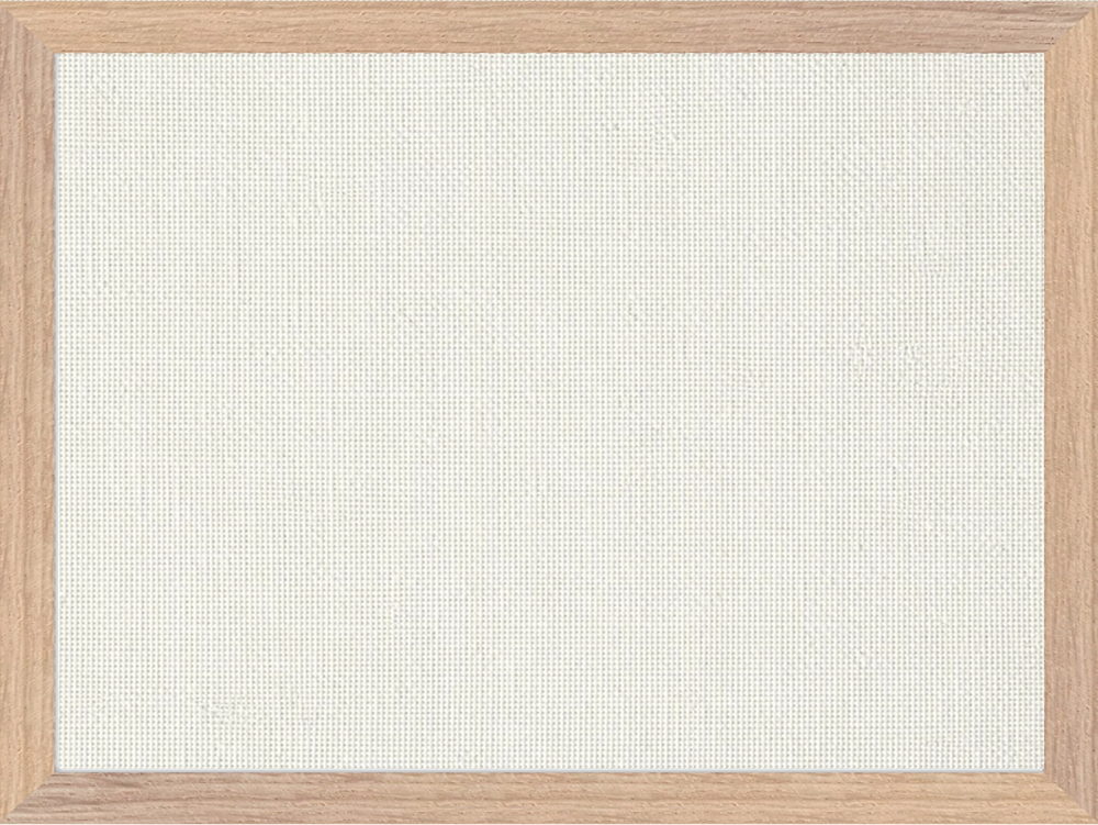 Framed Canvas Print