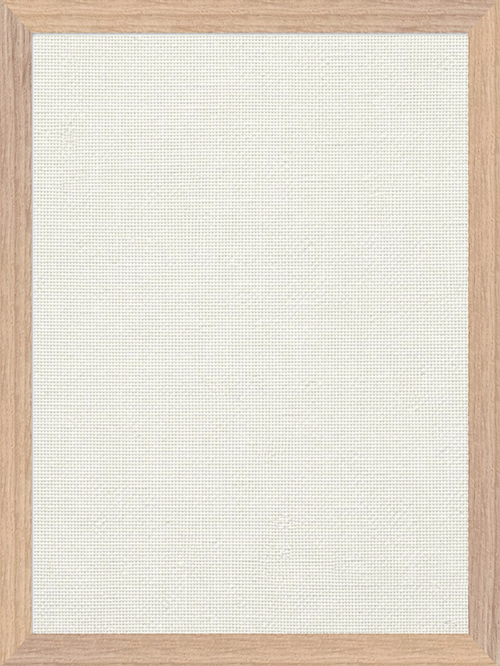 Framed Canvas Print